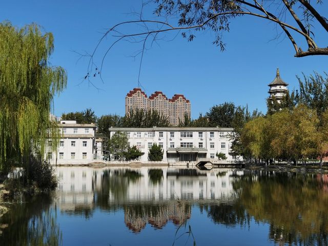天津寧園。