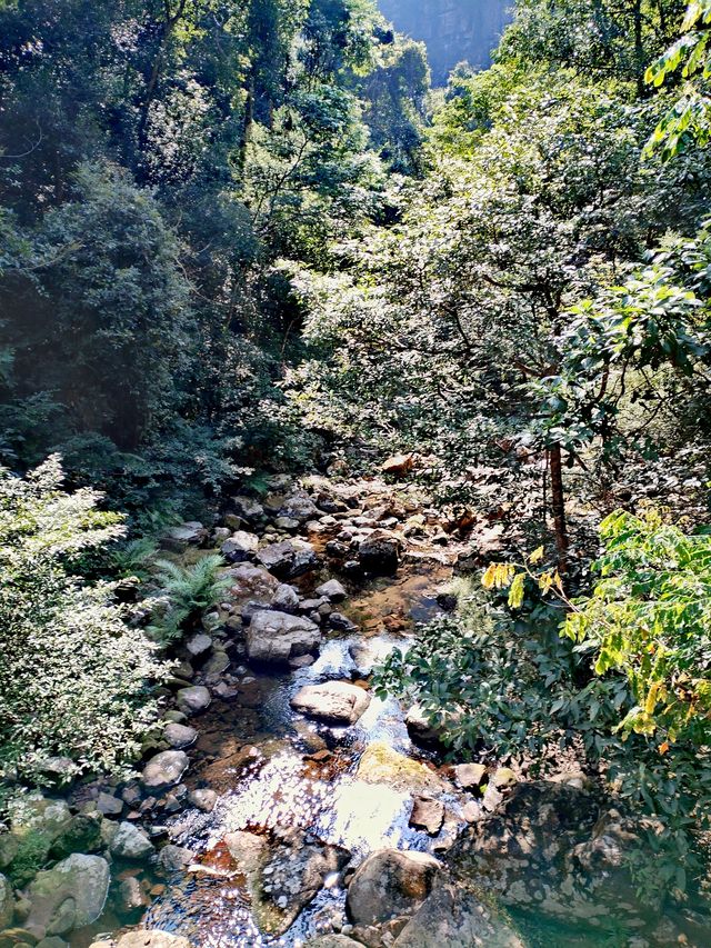 廣西桂平：龍潭國家森林公園「醉」一把氧。