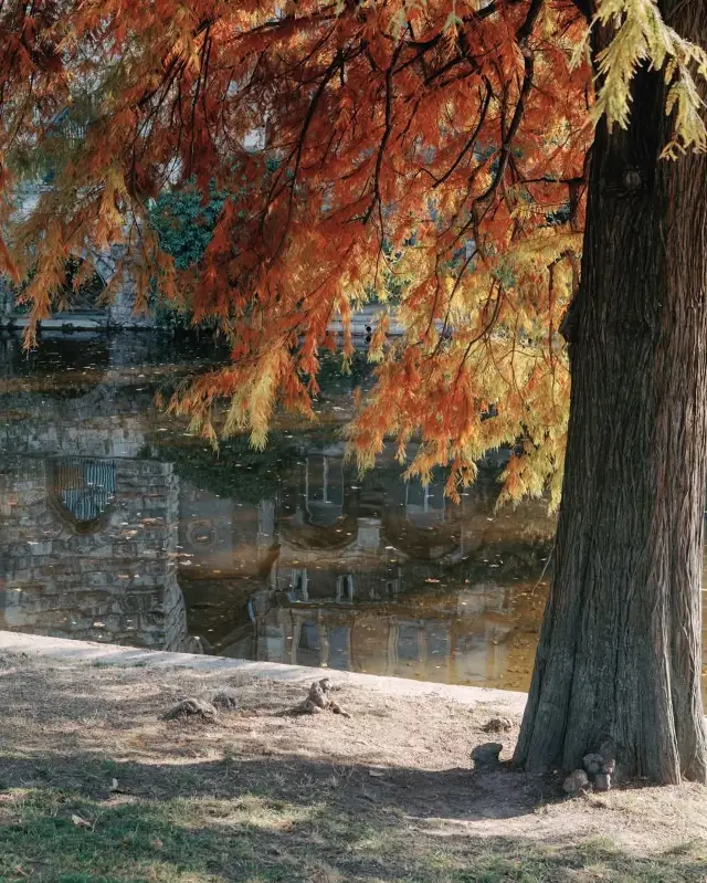 [Budapest in Autumn: A Fairytale You Can't Miss]