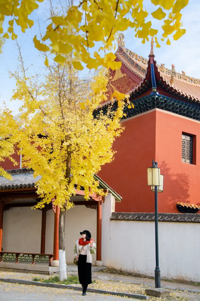 2025年、武漢を訪れる際の最初の目的地：地元の人と一緒に帰元寺を巡る