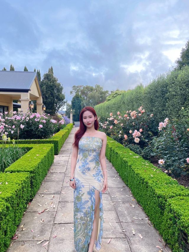 南澳 Mount Gambier 旅行日記之南澳