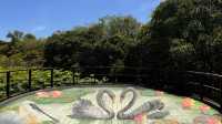 廣州南沙濕地公園｜最美濕地公園讓我們一起拍個美美的照片