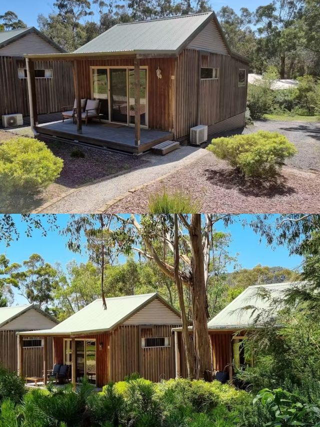 奧爾頓開放式客房小屋：靜謐之旅的完美棲息地