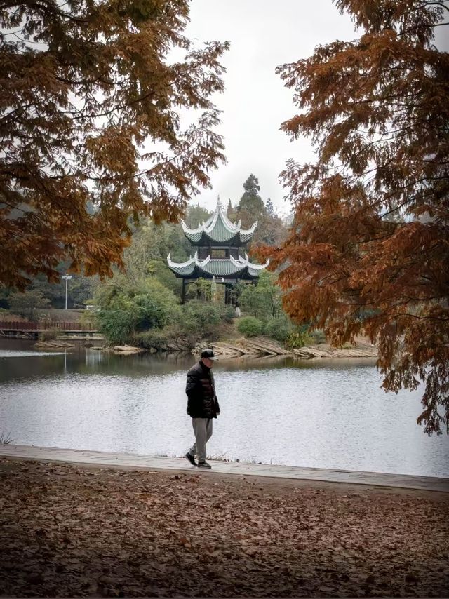 在叙之旅．美好邂逅