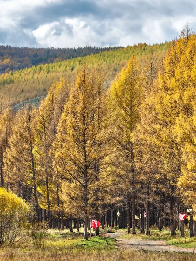 8-Day Hulunbuir & Hinggan League Itinerary: A Detailed Guide
