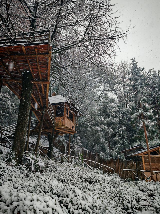 碧峰峽野奢之旅 | 暮雲春樹民宿遇見雪中的冬日戀歌