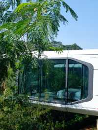 中山旅遊療癒之旅｜營地放空，治癒內耗的自己