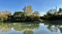 遊上海：花開海上生態園