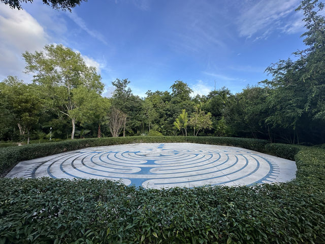大島上的小植物園，人氣秘境