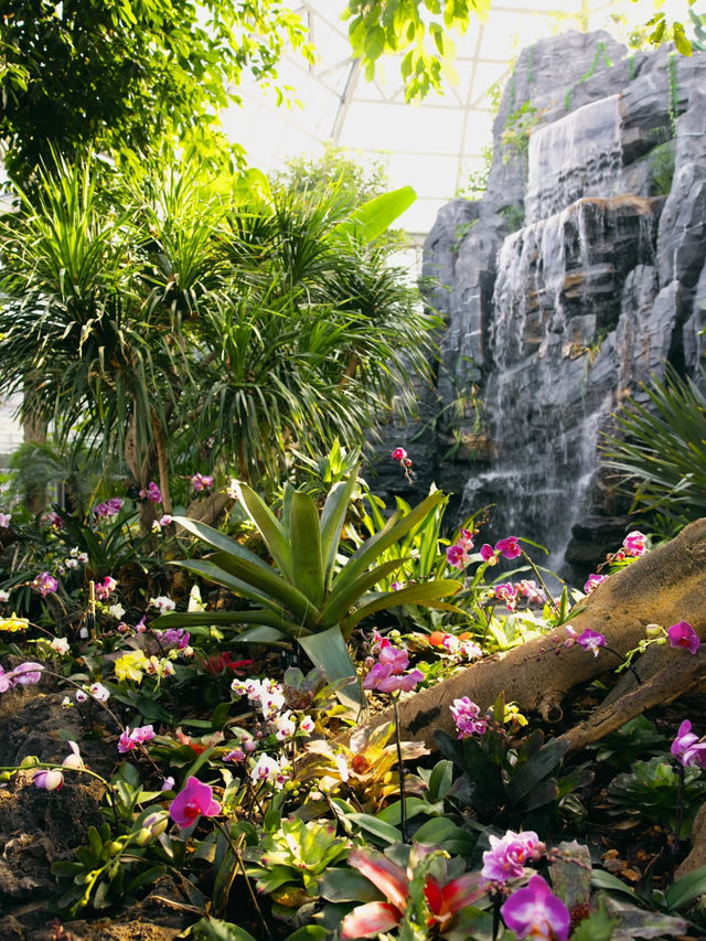 湖南省植物園 | 我好像走進了森林秘境