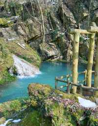 大口森林公園旅遊推薦以及周圍酒店推薦