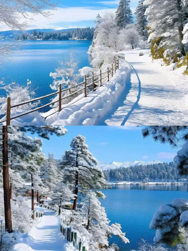寶貝，答應我冬天一定要去一次鏡泊湖