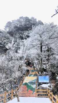 賞雪光霧山，邂逅夢幻冬景