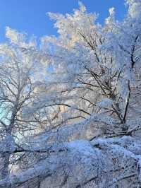 哈爾濱-鏡泊湖滑雪秘笈看完秒變滑雪達人