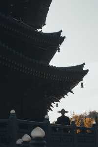 韶關雲門寺 | 佛國山川間，唐風庭院深