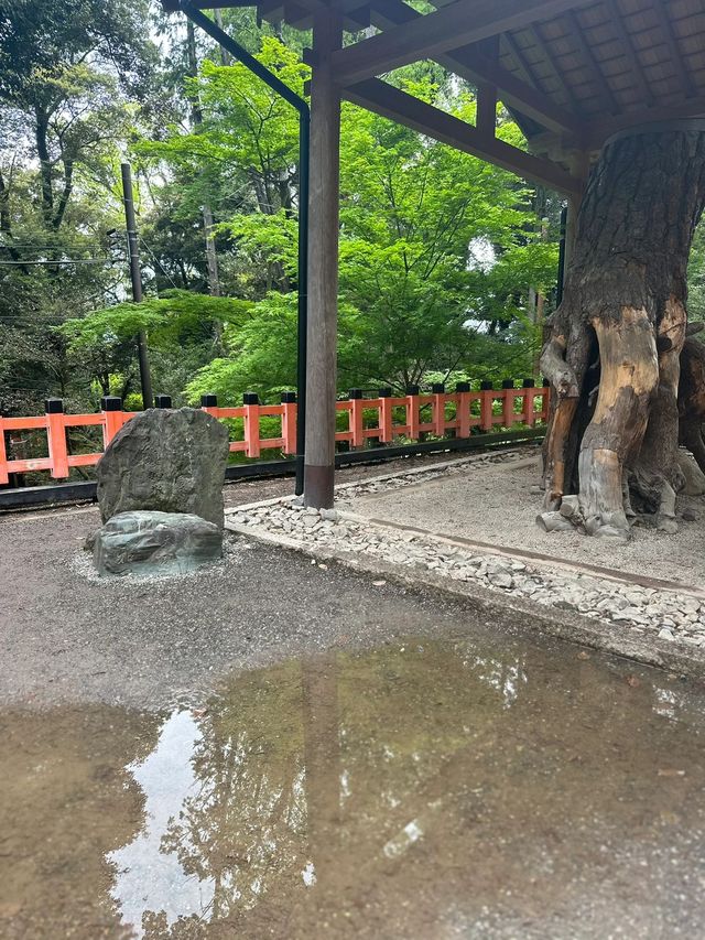8天暢遊日本 盡享溫泉之旅
