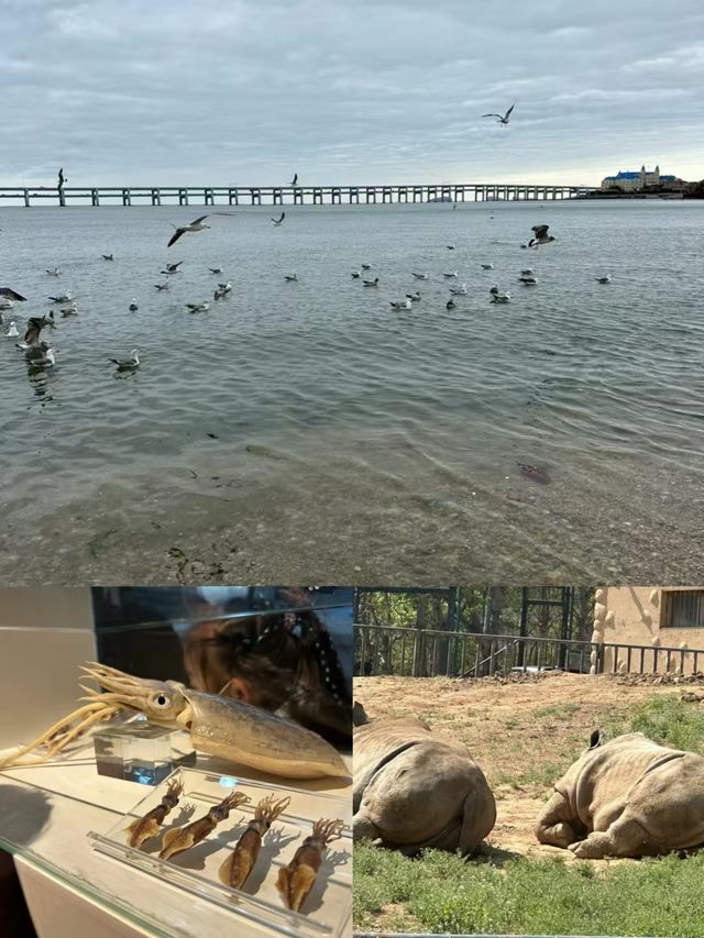 大連兩日遊好吃又好玩