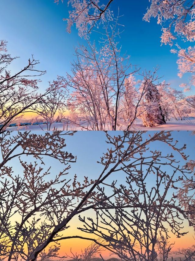 冰雪畫廊太美啦˃̶͈˂