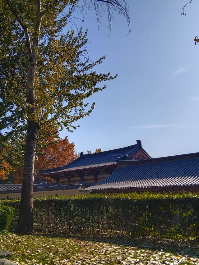 6日暢遊榆林-西安-甘泉 超實用行程攻略
