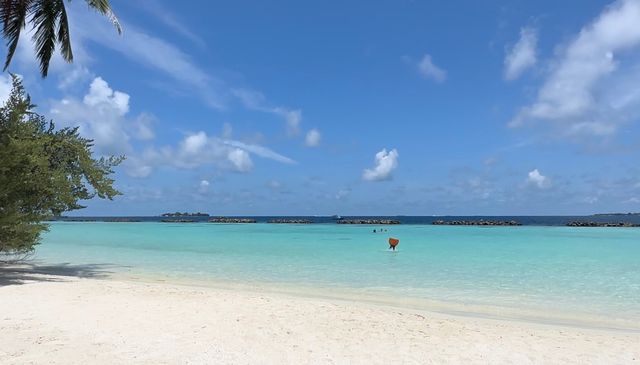 庫魯巴椰子島 | 馬爾代夫夢幻酒店 Kurumba Maldives   酒店：庫魯巴酒店（Kur