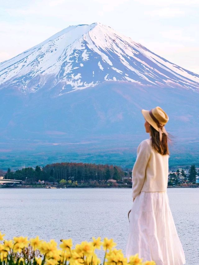 Mount Fuji in Japan is Splendid and Heartwarming🌹✨🍁