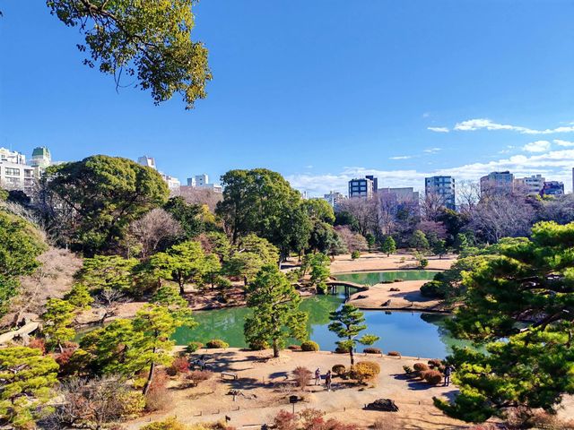 東京都特別名勝-六義園