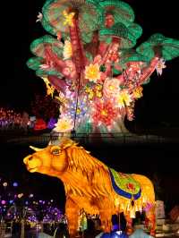 延慶世園公園花燈節｜全攻略