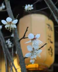 唐寅故里桃花塢