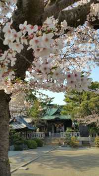 尋訪神秘的山打根：探索自然與歷史的精彩旅程