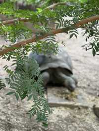 The London Zoo is surely a must visit