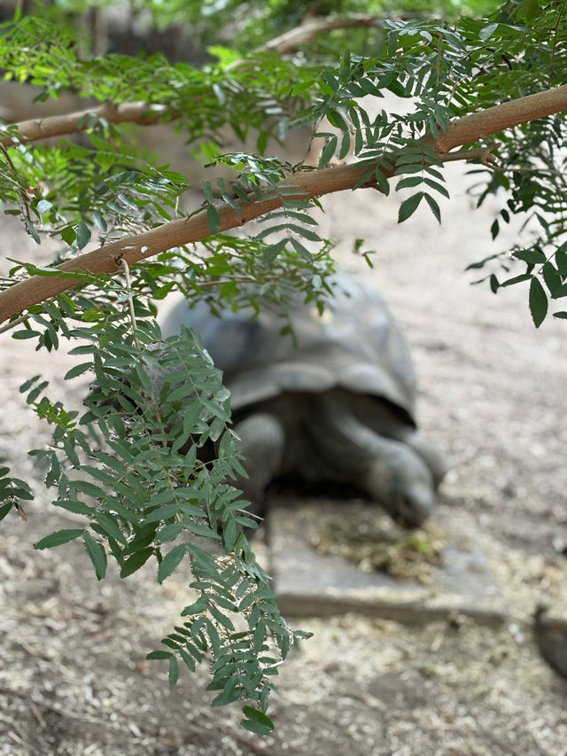The London Zoo is surely a must visit