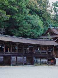 五日日本之旅 | 大人氣路線神秘揭密