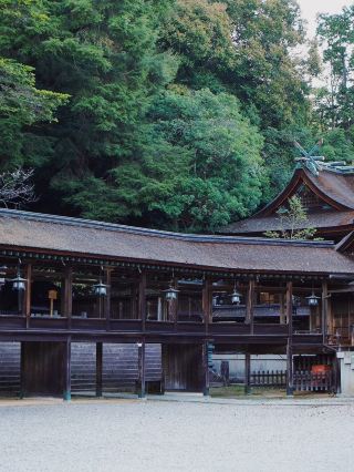 5-Day Japan Trip | Popular Routes Revealed