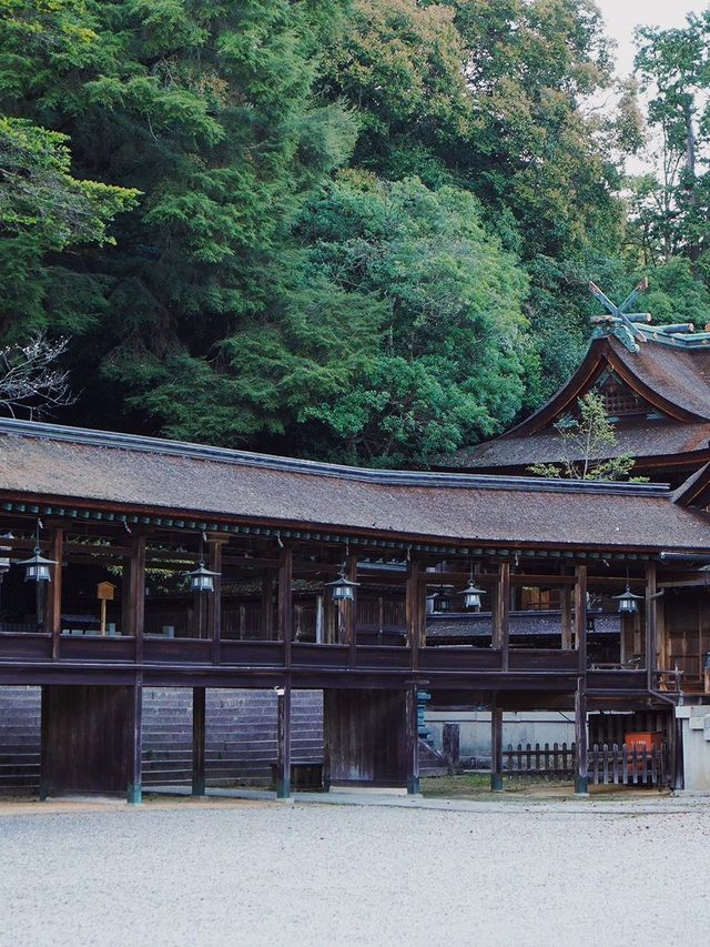 五日日本之旅 | 大人氣路線神秘揭密