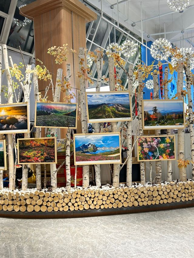 4日穿越吉林長白山西坡等地旅行指南讓你愛上這座城