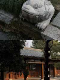 上海小眾寺廟｜避開人潮的靜謐治癒角落！