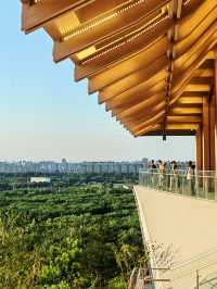 北京新晉最美觀景台｜南苑濕地森林公園飛雁台