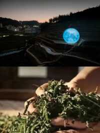 安溪非遺之旅 | 邂逅時光裏的文化瑰寶！