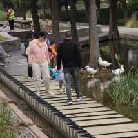 絕美拍照聖地，隨手一拍都是大片！🌸