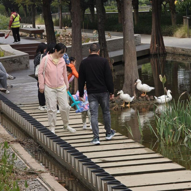 絕美拍照聖地，隨手一拍都是大片！🌸