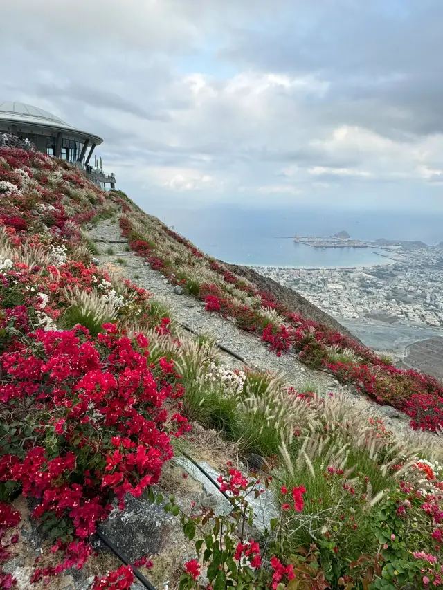 阿聯酋6日遊超全攻略必玩景點一網打盡