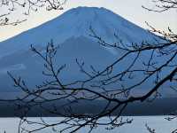 Dreamy Mt. Fuji