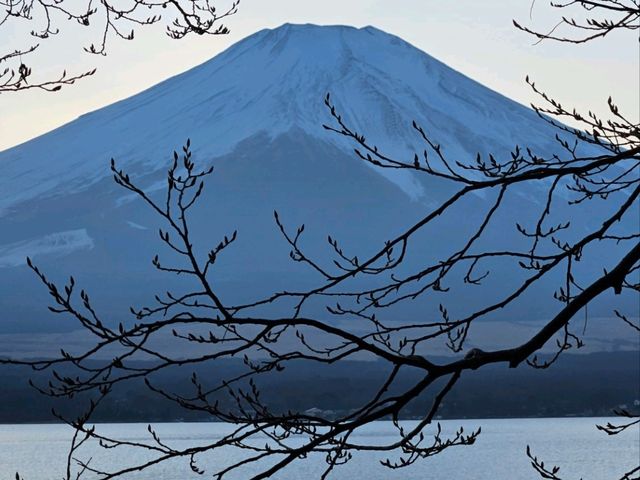 Dreamy Mt. Fuji