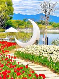 一不小心掉進鬱金香花海裏