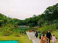 10 Days Visa Free Transit Stay in Fujian: Cover All Landmarks!