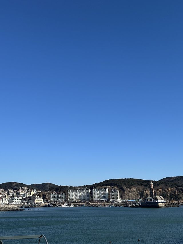 大連親子遊攻略玩轉美麗海濱城市