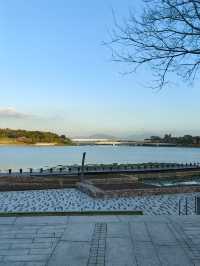 深圳人才公園的日落