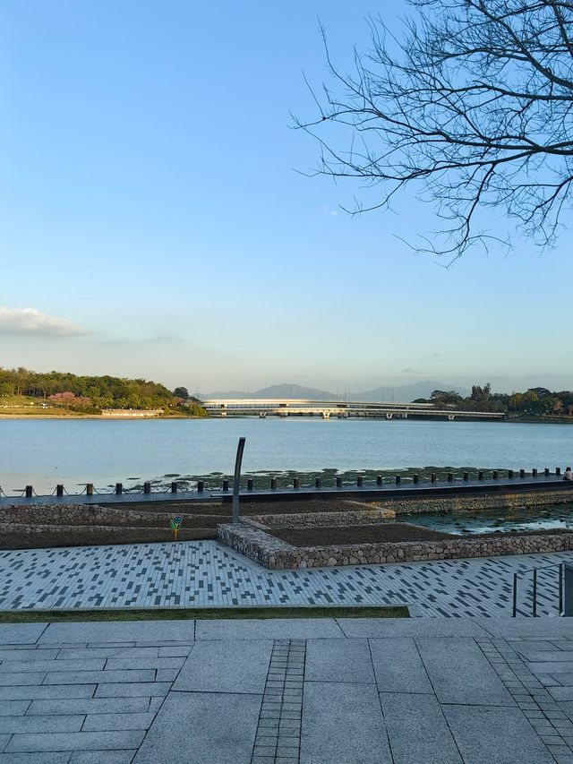 深圳人才公園的日落
