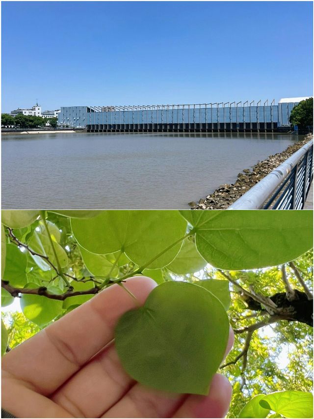 接下來的寧波 真的美出新高度