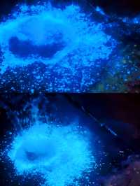 天津海邊藍眼淚,睇呢篇攻略就夠晒🫶🩷